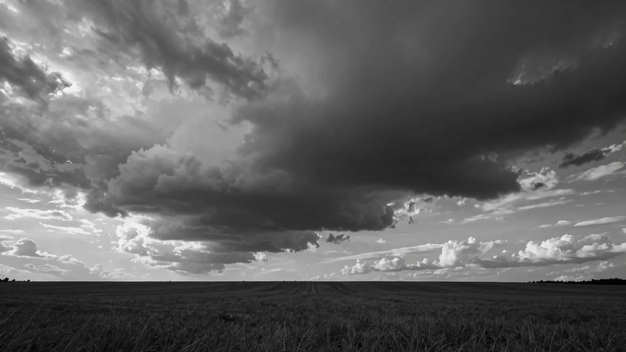 Fotógrafo Blanco y Negro Consejos Profesionales para 2026 — image 3